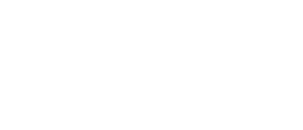 Speedo